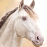 Zdjęcie profilowe Werka