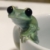 Zdjęcie profilowe _green_frog_